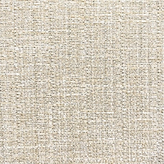 Spooners Cove Lounge Chair w/Cushion (2/CN)