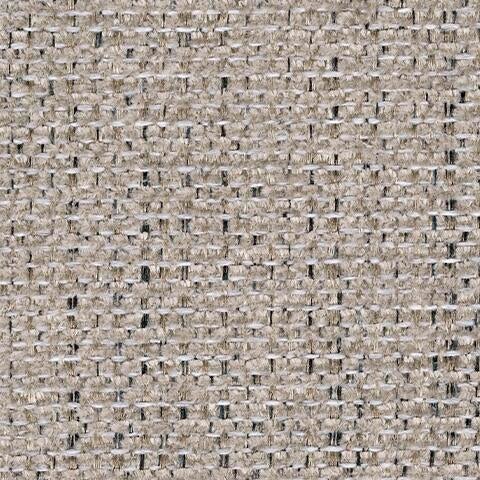 3100436