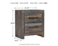 Drystan King Panel Bed with Storage with Mirrored Dresser, Chest and Nightstand